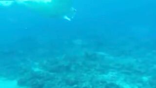 Amazing View Guesthouse Thoddoo романтический ужин после рыбалки на bikini beach и свежие фрукты