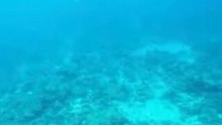 Amazing View Guesthouse Thoddoo романтический ужин после рыбалки на bikini beach и свежие фрукты