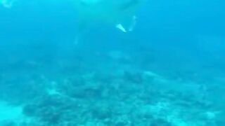 Amazing View Guesthouse Thoddoo романтический ужин после рыбалки на bikini beach и свежие фрукты