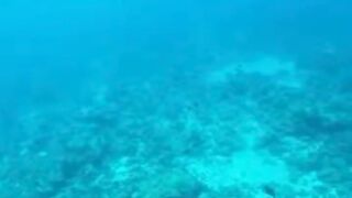 Amazing View Guesthouse Thoddoo романтический ужин после рыбалки на bikini beach и свежие фрукты