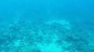 Amazing View Guesthouse Thoddoo романтический ужин после рыбалки на bikini beach и свежие фрукты