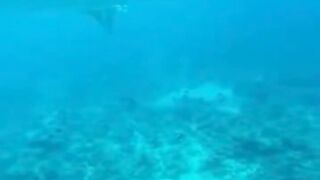 Amazing View Guesthouse Thoddoo романтический ужин после рыбалки на bikini beach и свежие фрукты