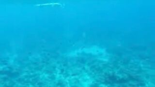 Amazing View Guesthouse Thoddoo романтический ужин после рыбалки на bikini beach и свежие фрукты