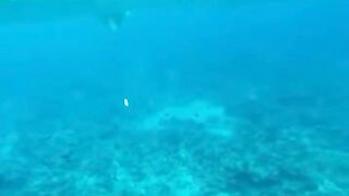 Amazing View Guesthouse Thoddoo романтический ужин после рыбалки на bikini beach и свежие фрукты