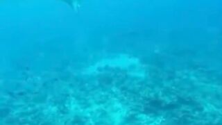 Amazing View Guesthouse Thoddoo романтический ужин после рыбалки на bikini beach и свежие фрукты