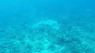 Amazing View Guesthouse Thoddoo романтический ужин после рыбалки на bikini beach и свежие фрукты