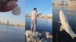 Bait fishing в Ajman простая донная рыбалка с наживкой в ОАЭ и неожиданные поклевки
