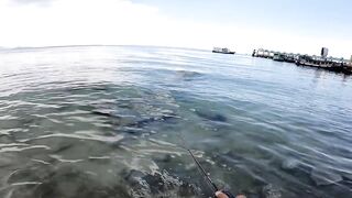 Koh Samet shore fishing вечерние забросы с пирса и камней на небольшом тайском острове