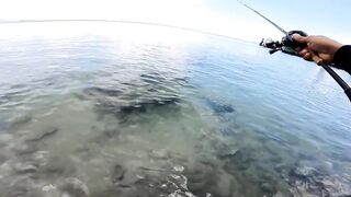 Koh Samet shore fishing вечерние забросы с пирса и камней на небольшом тайском острове