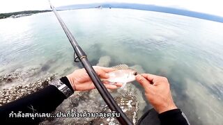 Koh Samet shore fishing вечерние забросы с пирса и камней на небольшом тайском острове