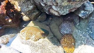 Koh Samet shore fishing вечерние забросы с пирса и камней на небольшом тайском острове