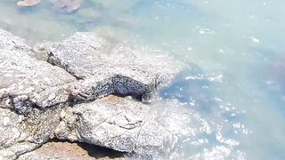 Koh Samet shore fishing вечерние забросы с пирса и камней на небольшом тайском острове