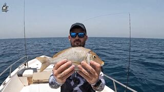 Рыбалка в Ajman в самый жаркий день года поиск лучших мест на берегу залива