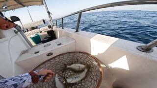 Рыбалка в Ajman в самый жаркий день года поиск лучших мест на берегу залива