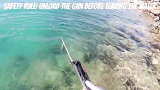 Игра в прятки с каракатицей под водой ищем кто первым заметит кого во время морской рыбалки