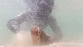 Игра в прятки с каракатицей под водой ищем кто первым заметит кого во время морской рыбалки