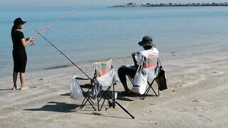 Игра в прятки с каракатицей под водой ищем кто первым заметит кого во время морской рыбалки