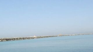 Игра в прятки с каракатицей под водой ищем кто первым заметит кого во время морской рыбалки