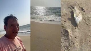 Fishing in Ajman Al Zorah 20.06.2025 отчёт о морская рыбалка в заливе в жаркую пятницу