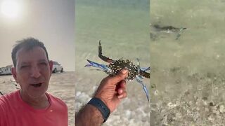 Морская рыбалка в Ajman Al Zorah ОАЭ, спокойные каналы мангров и арабское солнце над водой