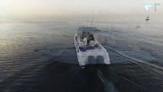 Deep sea fishing Ajman с чартером Captain Hook морская рыбалка в открытом заливе ОАЭ