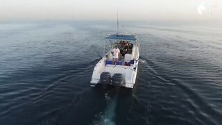 Deep sea fishing Ajman с чартером Captain Hook морская рыбалка в открытом заливе ОАЭ