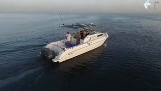 Deep sea fishing Ajman с чартером Captain Hook морская рыбалка в открытом заливе ОАЭ