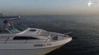 Deep sea fishing Ajman с чартером Captain Hook морская рыбалка в открытом заливе ОАЭ