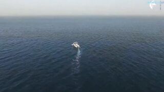 Deep sea fishing Ajman с чартером Captain Hook морская рыбалка в открытом заливе ОАЭ