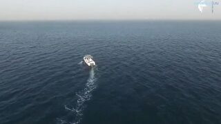 Deep sea fishing Ajman с чартером Captain Hook морская рыбалка в открытом заливе ОАЭ