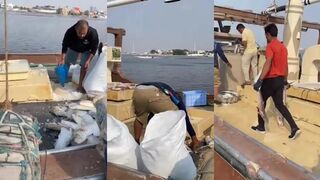 Рыбаки Аджмана в ОАЭ утренний выход в море сети лодки и повседневная жизнь у залива