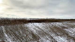 Первый лёд - быстрая мормышка и удивительный способ ловли карася на зимней рыбалке