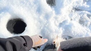 Первый лёд - быстрая мормышка и удивительный способ ловли карася на зимней рыбалке