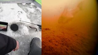 Первый лёд - быстрая мормышка и удивительный способ ловли карася на зимней рыбалке