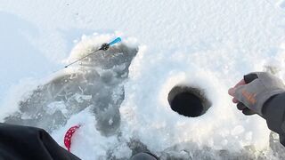 Первый лёд - быстрая мормышка и удивительный способ ловли карася на зимней рыбалке