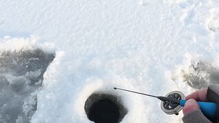 Первый лёд - быстрая мормышка и удивительный способ ловли карася на зимней рыбалке