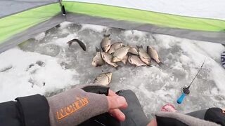 Первый лёд - быстрая мормышка и удивительный способ ловли карася на зимней рыбалке