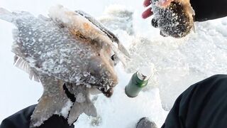 Первый лёд - быстрая мормышка и удивительный способ ловли карася на зимней рыбалке