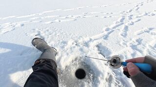 Первый лёд - быстрая мормышка и удивительный способ ловли карася на зимней рыбалке