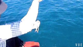 Рыбалка у узкого входа в Cam Ranh Bay сильное течение и выход рыбы к камням