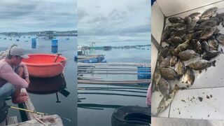 Ловля рыбы dìa в Cam Ranh лето 2024 рыбалка с берега рыба активно кормится и клюет уверенно