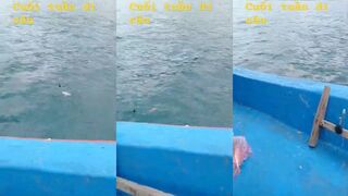 Морская рыбалка в Cam Ranh Vietnam береговые забросы и небольшой катер вдоль линии прибоя