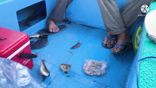 Robinson Cam Ranh fishing relax - тихая рыбалка в бухте и полное отпускное настроение