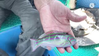 Robinson Cam Ranh fishing relax - тихая рыбалка в бухте и полное отпускное настроение