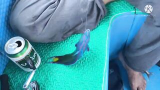 Robinson Cam Ranh fishing relax - тихая рыбалка в бухте и полное отпускное настроение