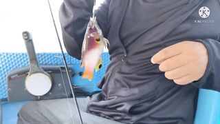 Robinson Cam Ranh fishing relax - тихая рыбалка в бухте и полное отпускное настроение