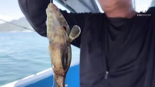 Robinson Cam Ranh fishing relax - тихая рыбалка в бухте и полное отпускное настроение