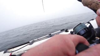 Это сон или реальность, бешеный жор крупного судака на спиннинг и лучшая ночная рыбалка сезона