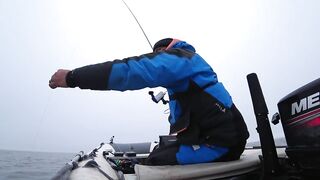 Это сон или реальность, бешеный жор крупного судака на спиннинг и лучшая ночная рыбалка сезона