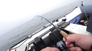 Это сон или реальность, бешеный жор крупного судака на спиннинг и лучшая ночная рыбалка сезона